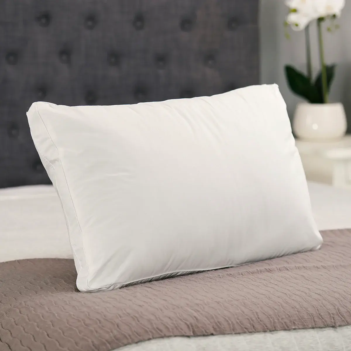 Iota Plum Green Cotton Light Comforter